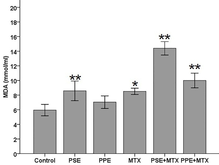 Figure 5