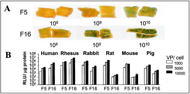 FIG. 6.