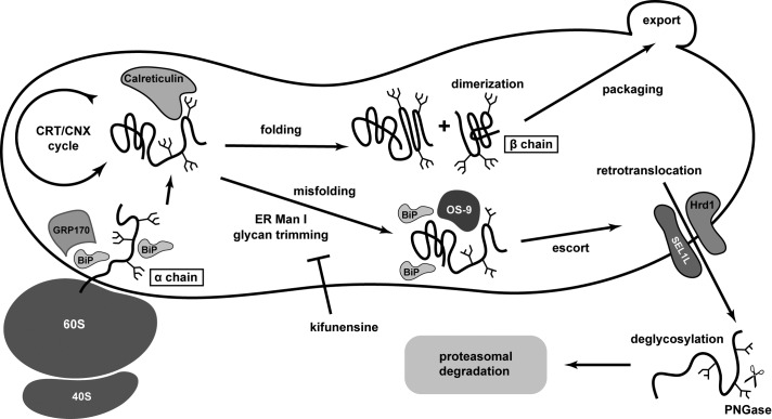 FIGURE 10: