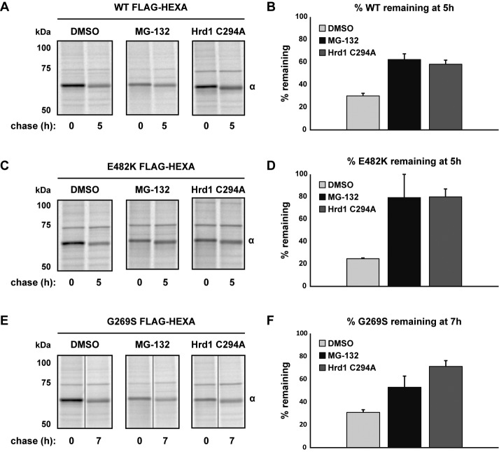 FIGURE 4: