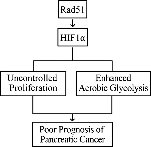 Fig. 7