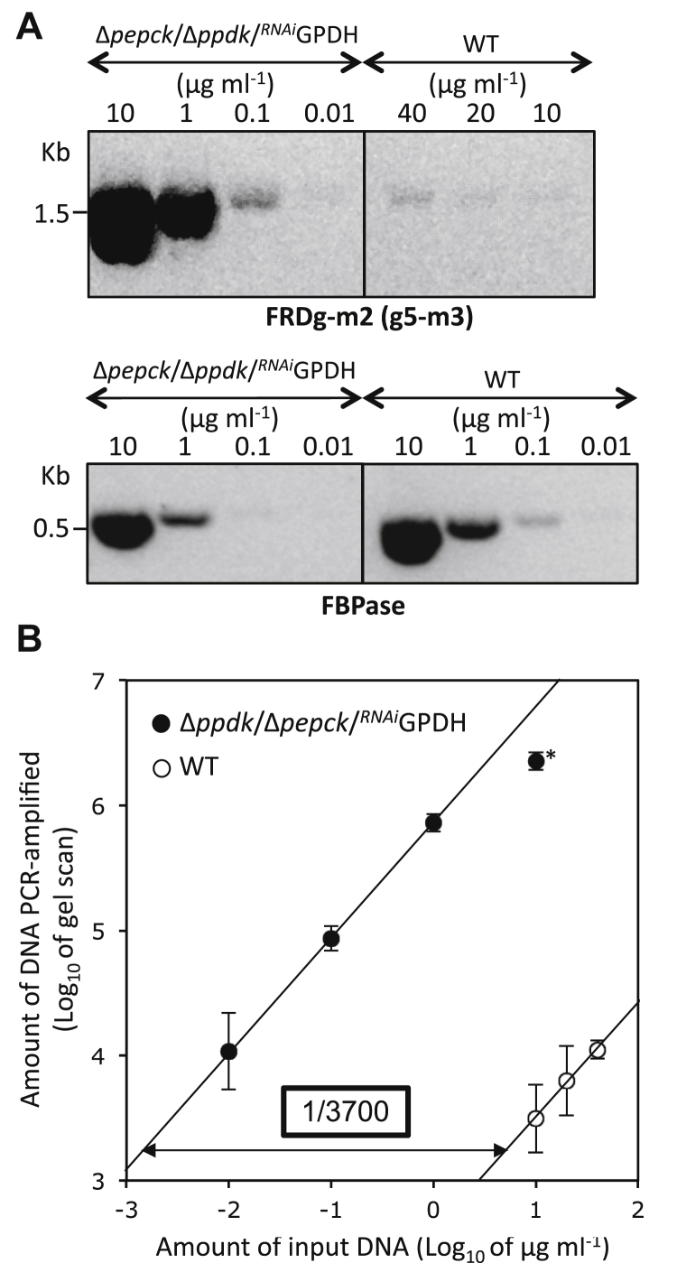 Figure 5