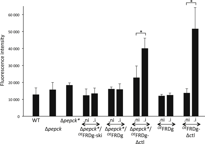 Figure 11