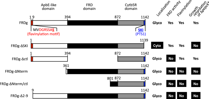 Figure 10