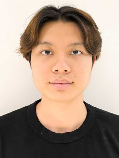 graphic file with name fx2.jpg