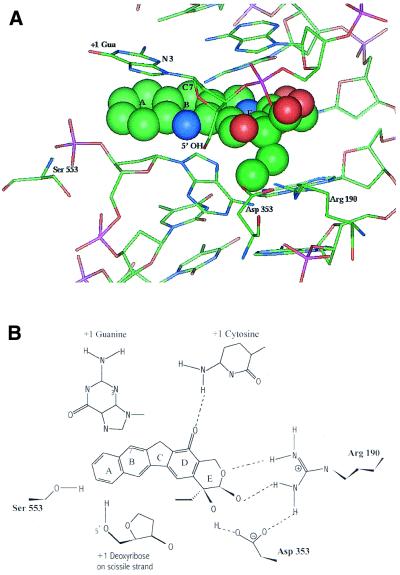 Figure 9