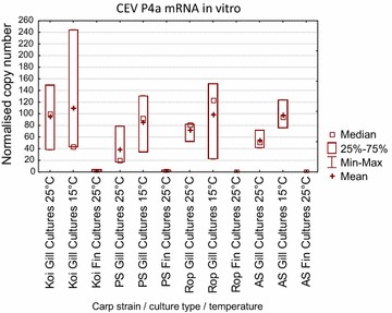 Figure 5