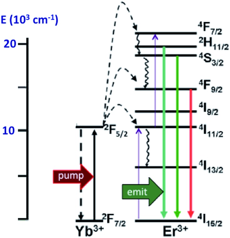 Fig. 15