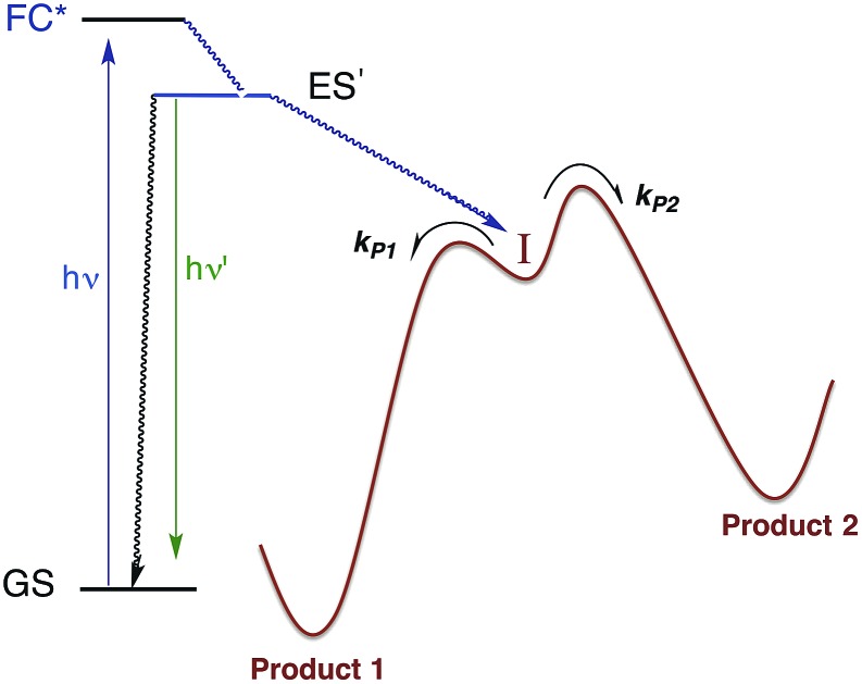 Fig. 10