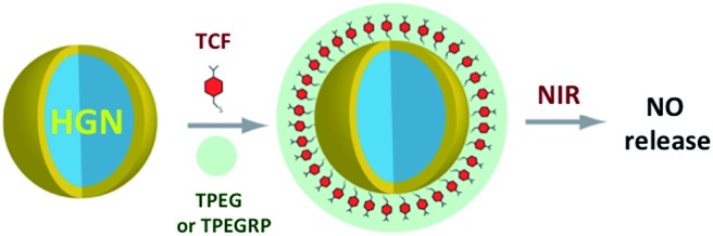 Scheme 14