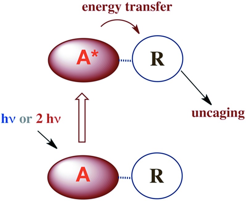 Scheme 7