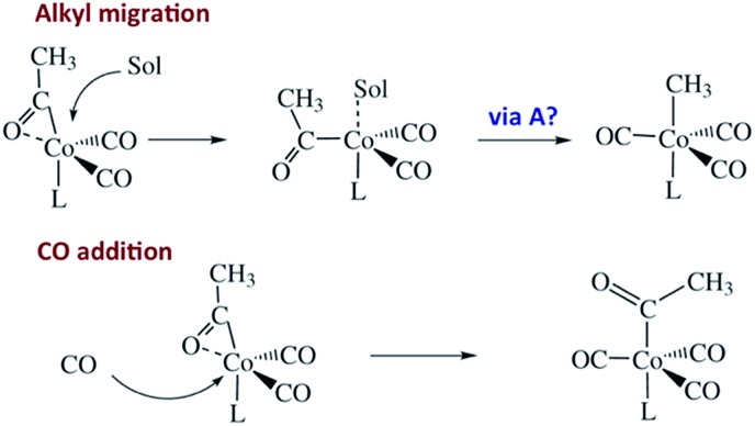 Scheme 6