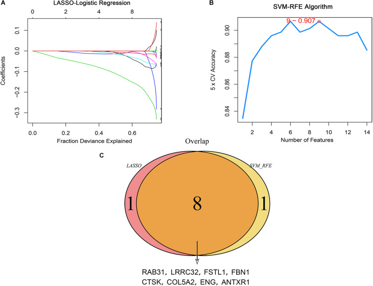 FIGURE 4