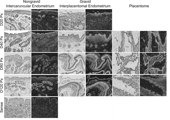 FIG. 9.