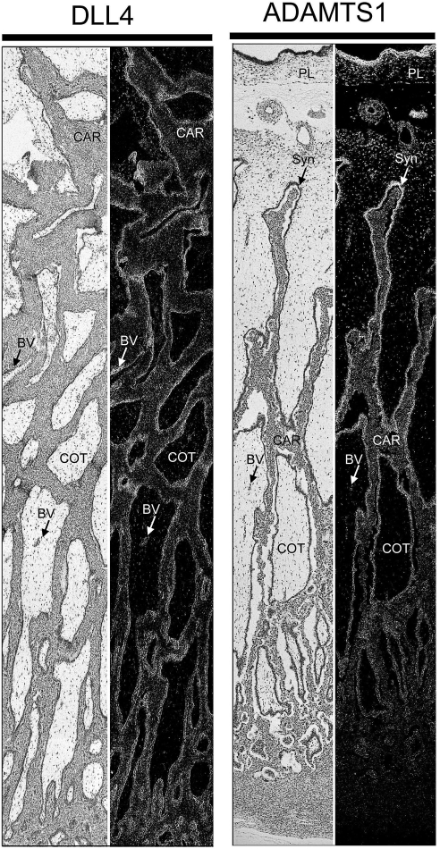 FIG. 10.