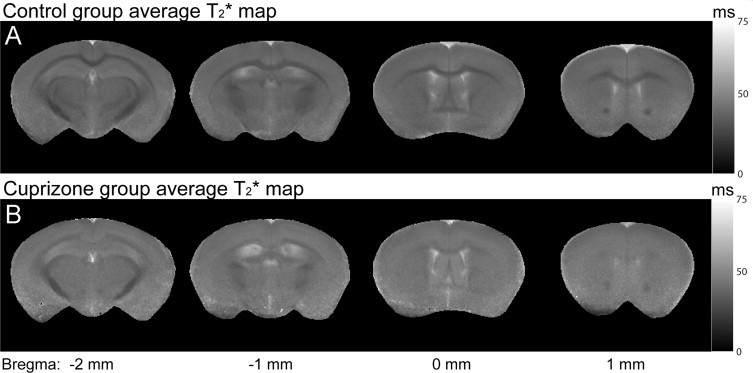 Fig. 8