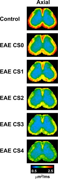 Fig. 5