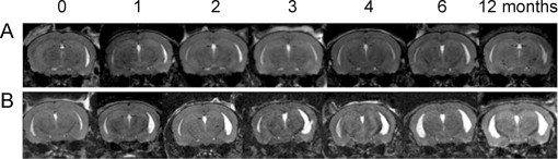 Fig. 7