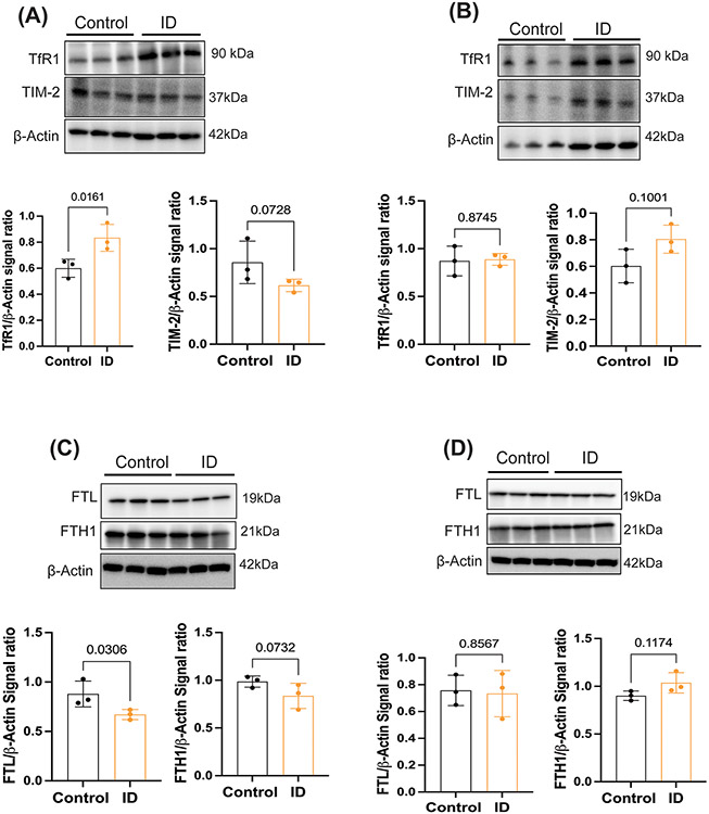 Figure 5: