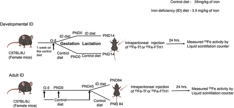 Figure 1: