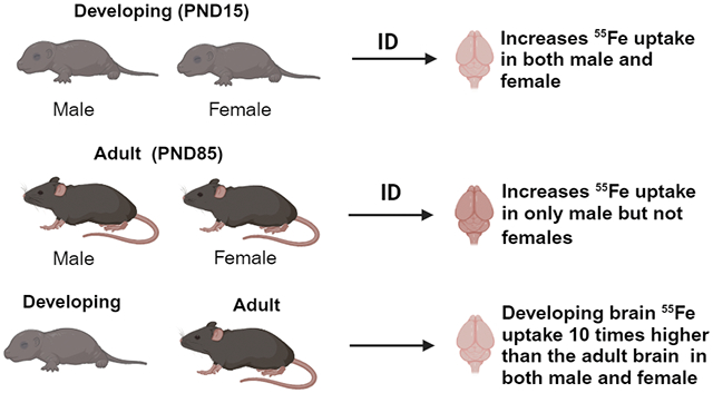 graphic file with name nihms-1946649-f0001.jpg