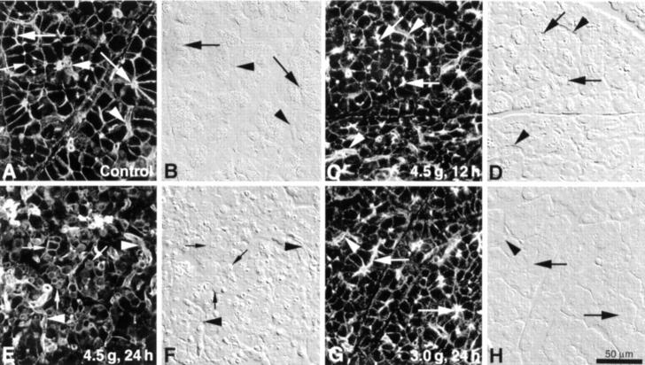 Figure 3  