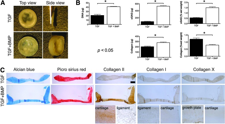 FIG. 6.