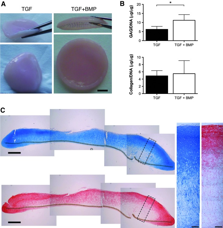 FIG. 7.