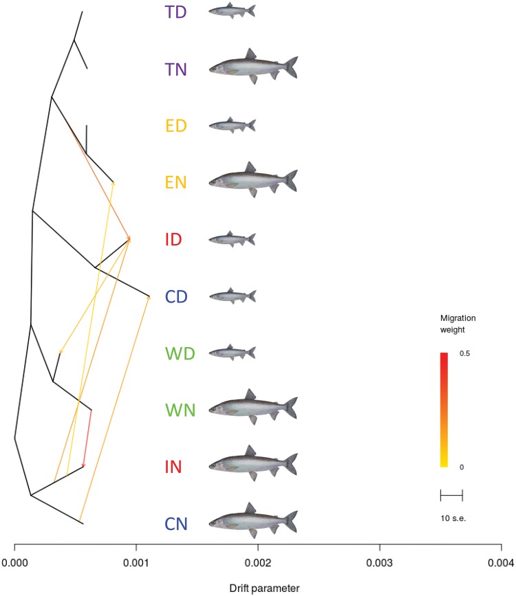 Fig. 7.