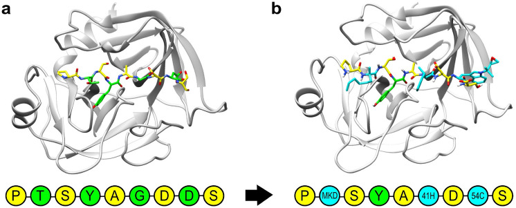 Fig. 3