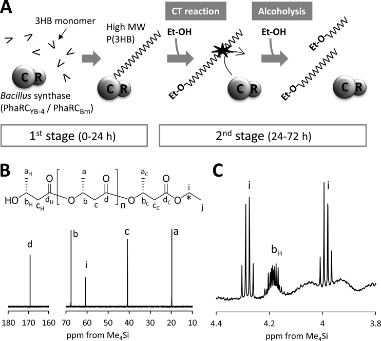 FIG 3