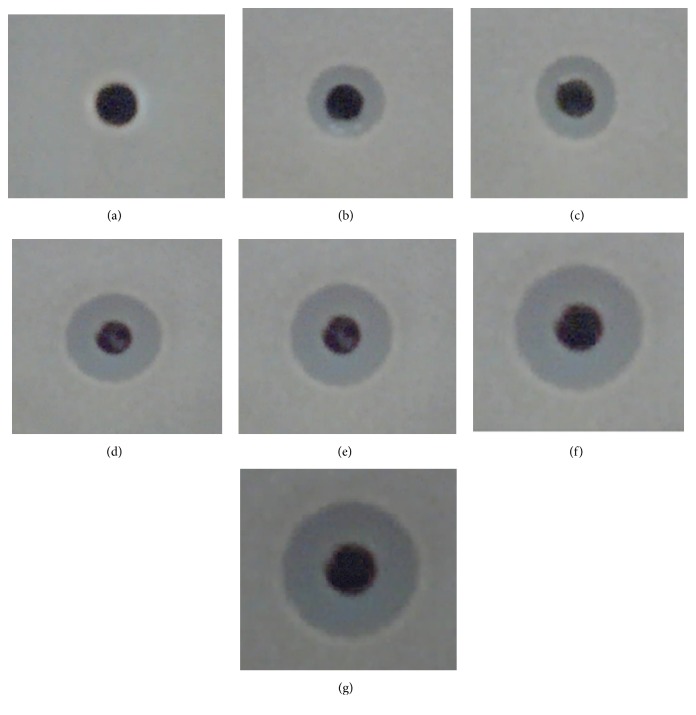 Figure 6