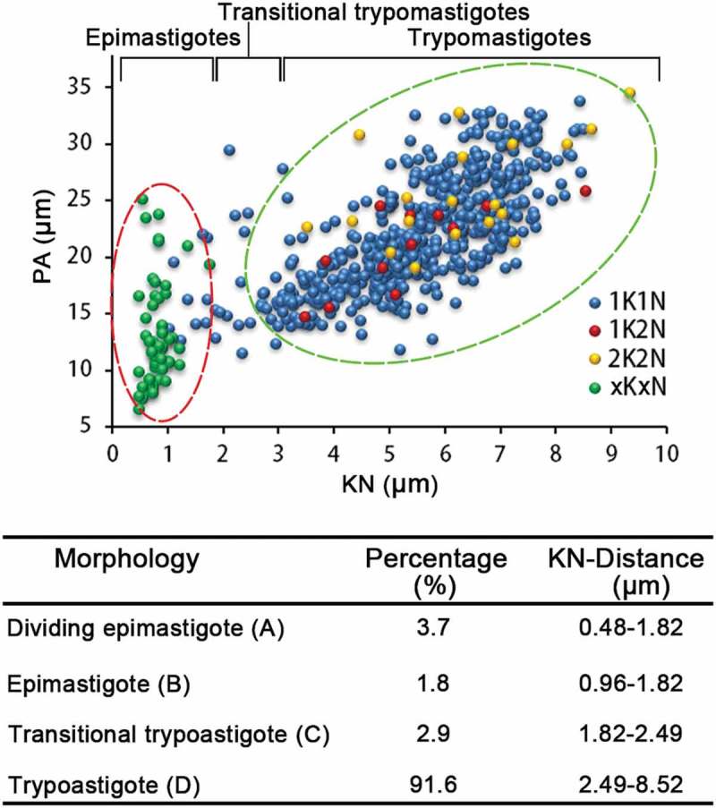 Figure 6.