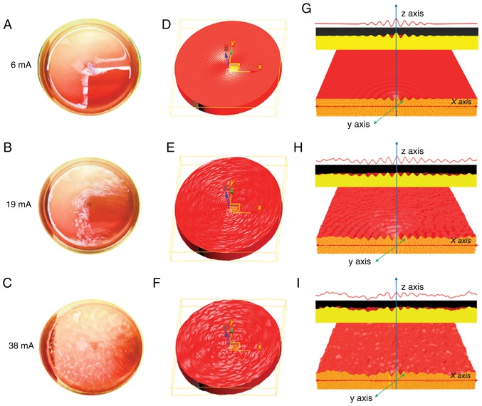 Figure 3.