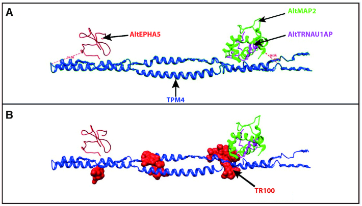 Figure 9.