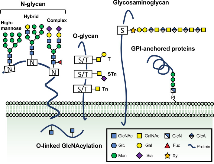 Figure 1