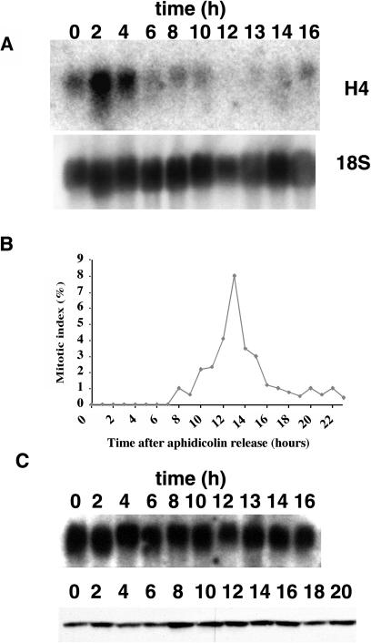 Figure 2.