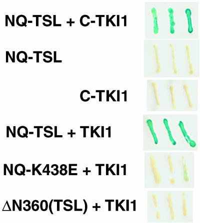 Figure 5.