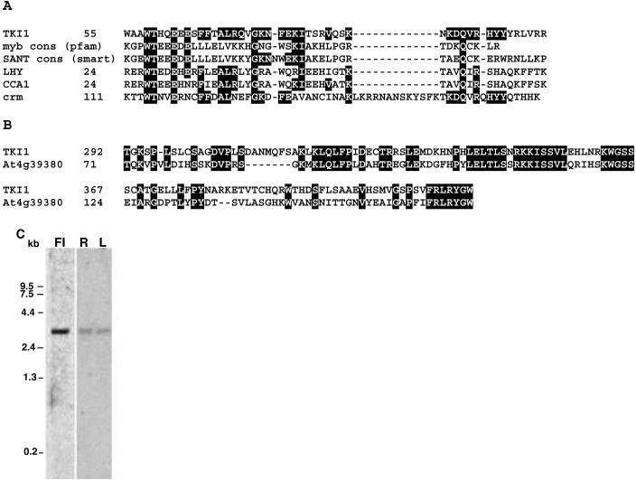 Figure 6.