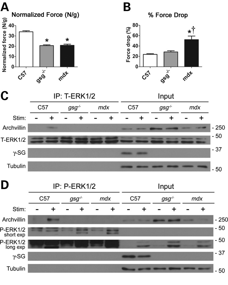 Figure 4.