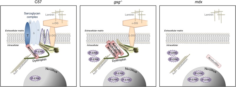 Figure 6.