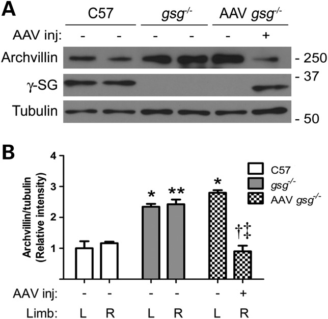 Figure 3.