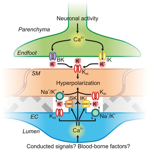 Figure 7.