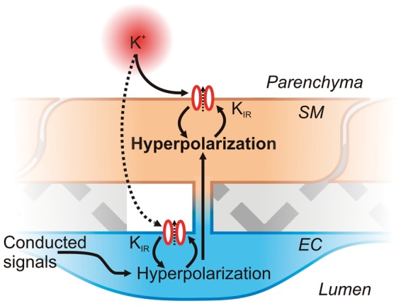 Figure 4.