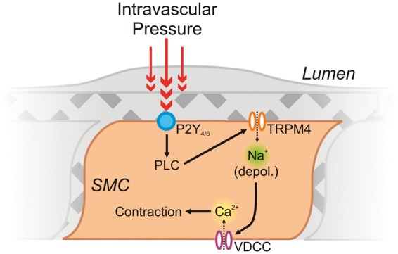 Figure 3.