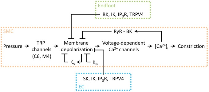 Figure 5.