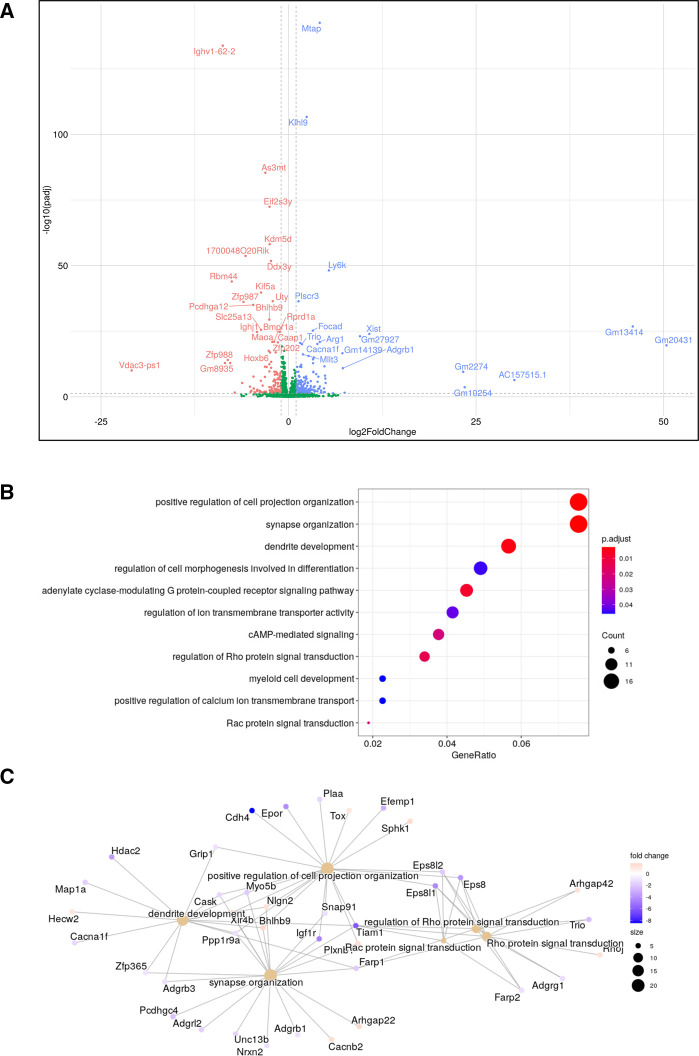 Figure 4.