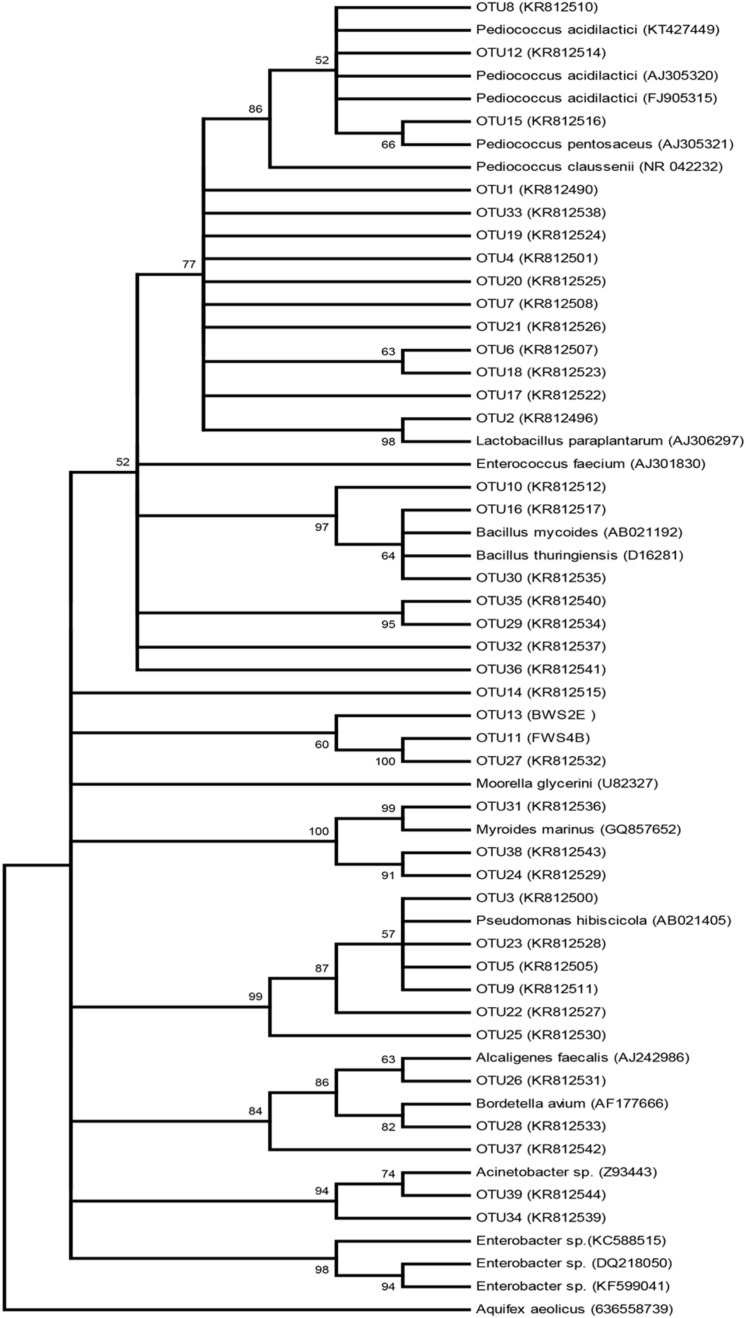 FIGURE 1