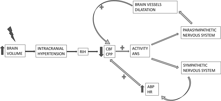 FIG. 3.