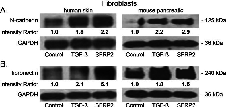 Figure 6.